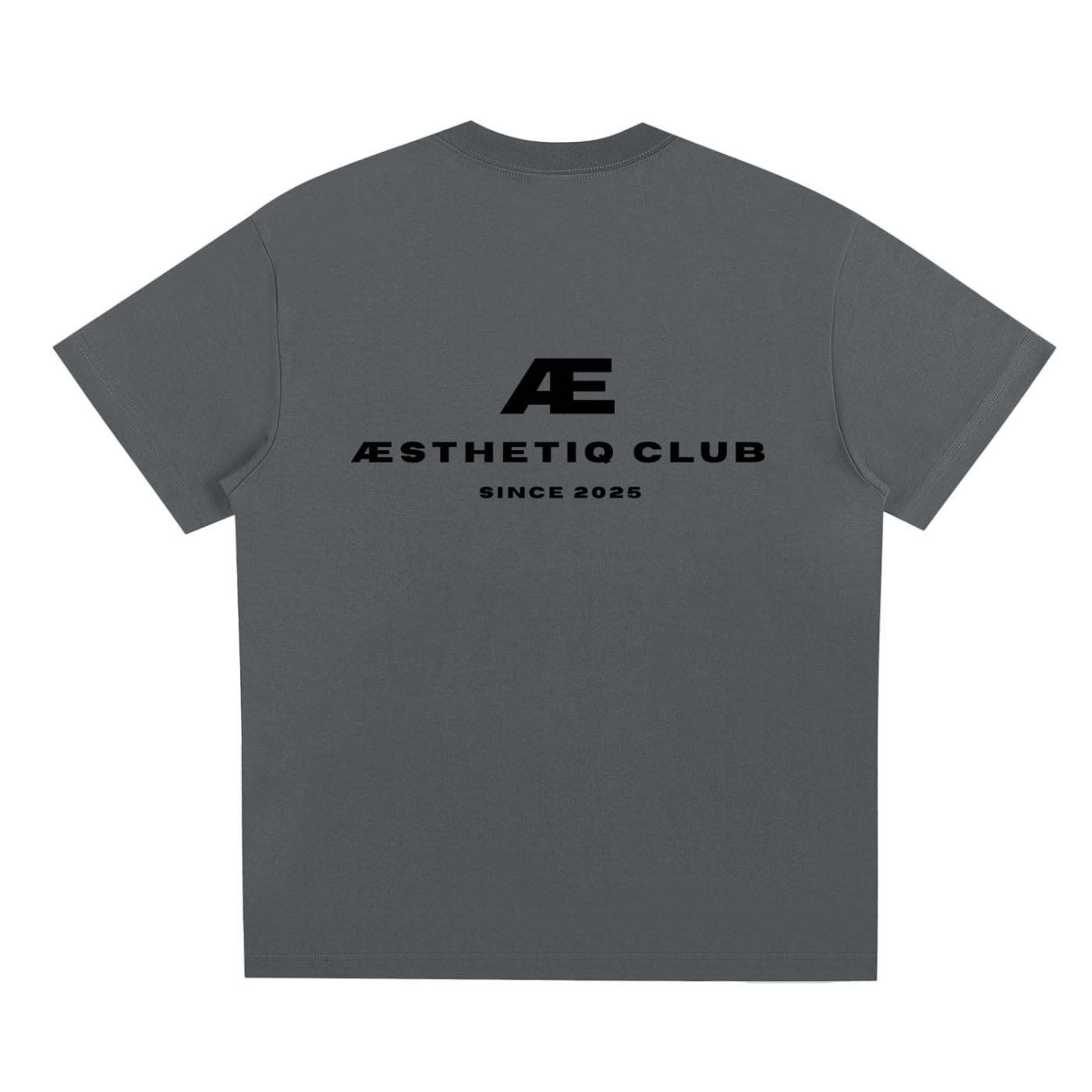 Aesthetiq Club Oversized T-Shirt