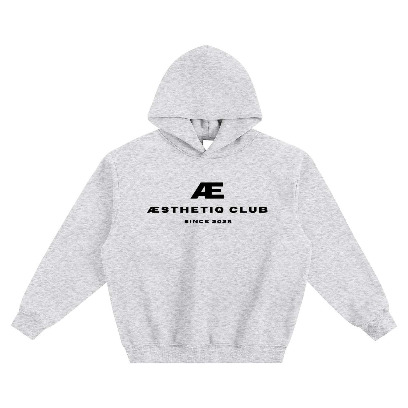 Aesthetiq Club Genesis Boxy Hoodie