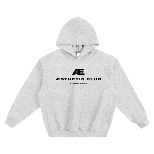 Aesthetiq Club Genesis Boxy Hoodie