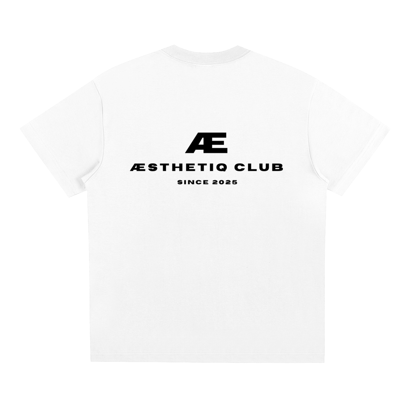 Aesthetiq Club Oversized T-Shirt