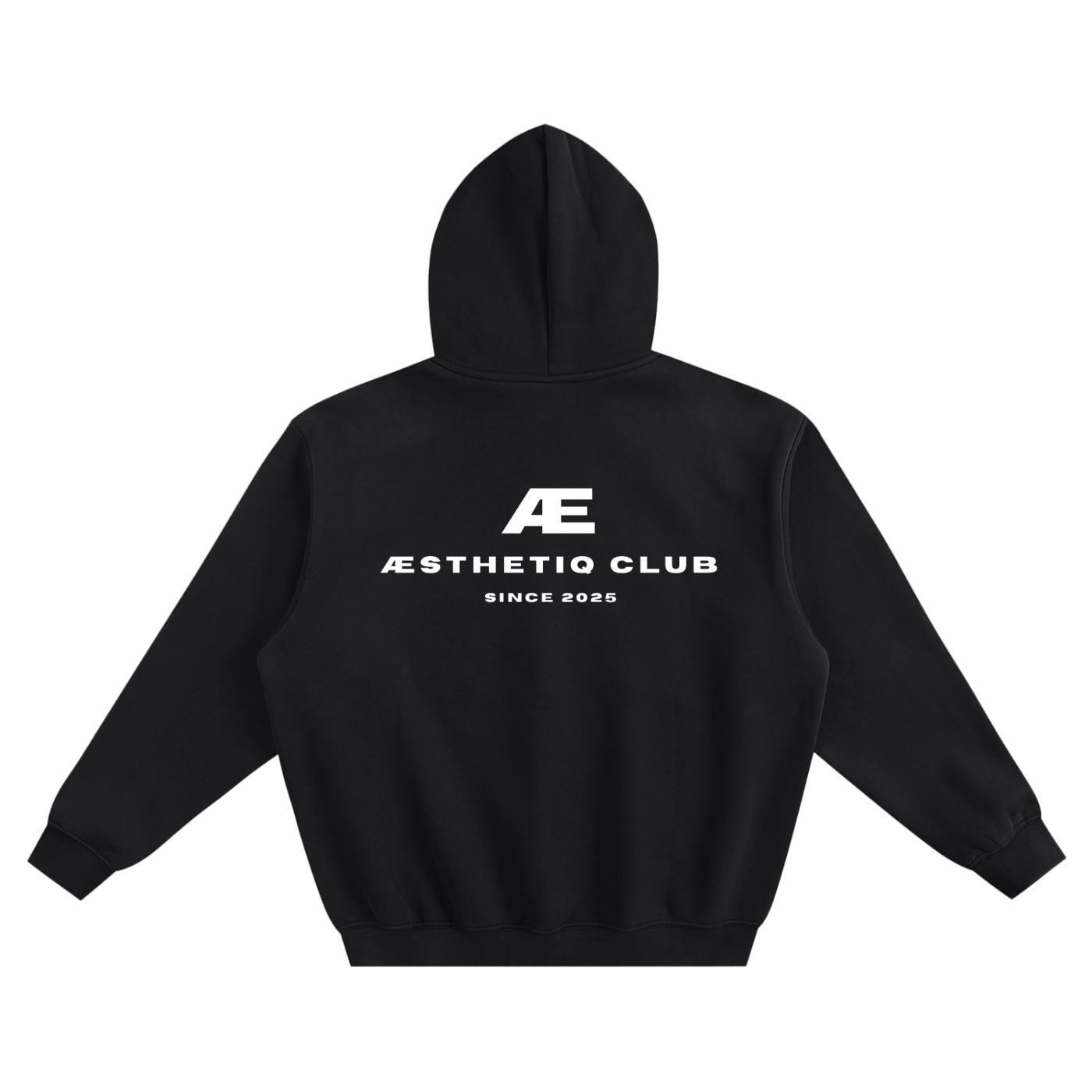 Aesthetiq Club Genesis Boxy Hoodie